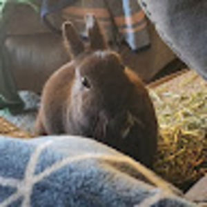 Meet your Posher, Keira